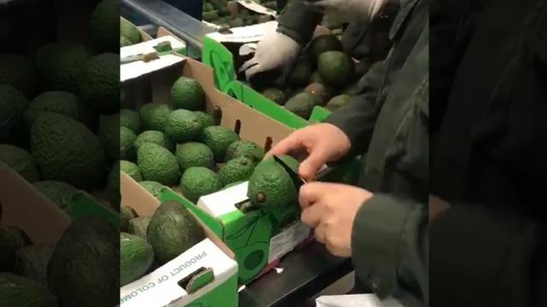 Τα αβοκάντο της Κολομβίας…