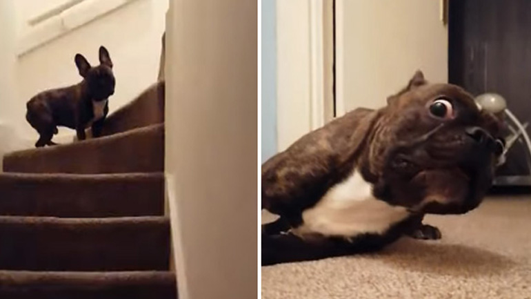 Κούκου… Τσα!