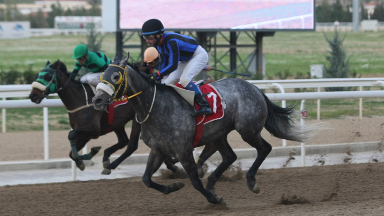 Τζακ ποτ στο ΣΚΟΡ 6 – Περισσότερα από 50.000 ευρώ στην επόμενη ιπποδρομιακή συγκέντρωση