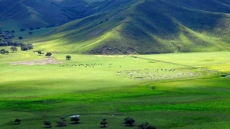 Κορωνοϊός: Γάλλος o πρώτος ασθενής στη Μογγολία