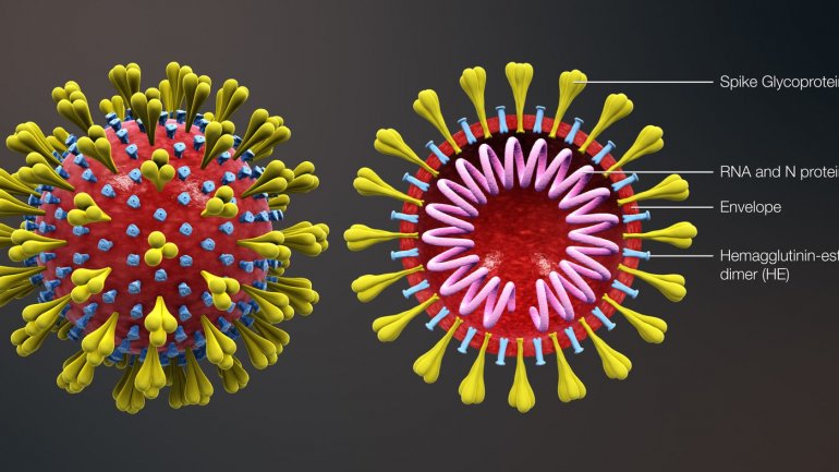 Τι σημαίνει “ύποπτο κρούσμα” και τι “στενή επαφή”