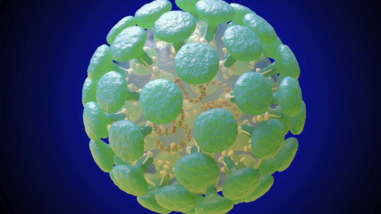 Τι πρέπει να ξέρετε για τους κορωνοϊούς