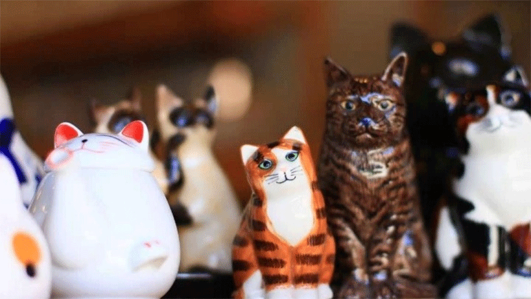 Μουσείο αφιερωμένο στις γάτες στην Κρακοβία