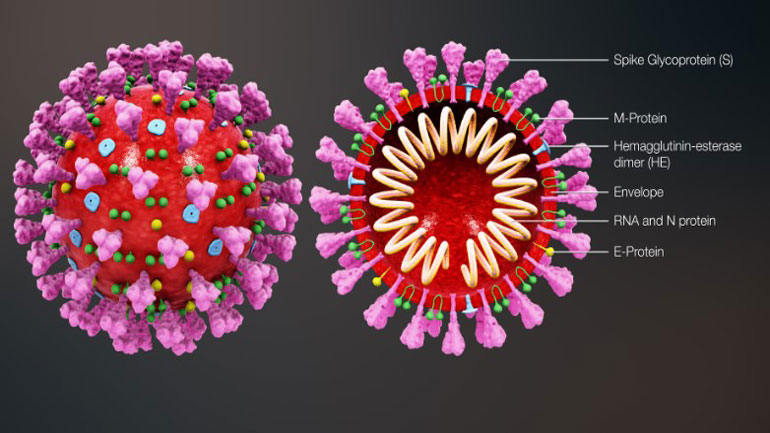 Θα «φρενάρουν» πράγματι τον κορωνοϊό η άνοιξη και η ζέστη; – Οι επιστήμονες δεν είναι σίγουροι Θα «φρενάρουν» πράγματι τον κορωνοϊό η άνοιξη και η ζέστη; – Οι επιστήμονες δεν είναι σίγουροι
