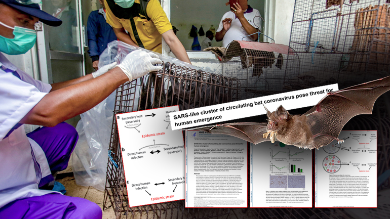 Τερατάκι βιολογικού πολέμου ή θεωρία συνωμοσίας;