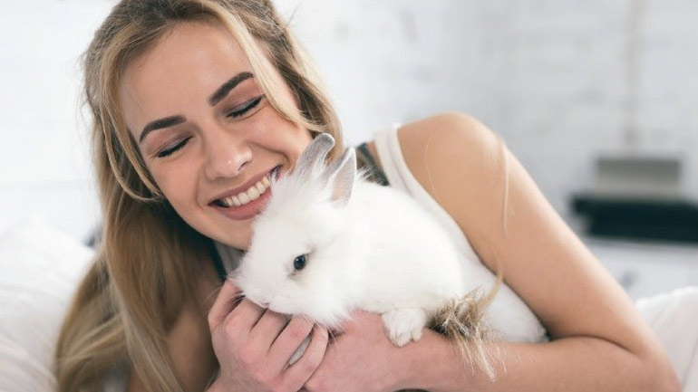 Όλα όσα πρέπει να γνωρίζετε εάν θέλετε να αποκτήσετε ένα κουνέλι