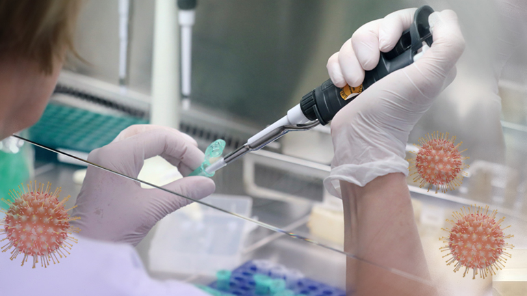 Φως από την αντίδραση του οργανισμού στον Covid-19