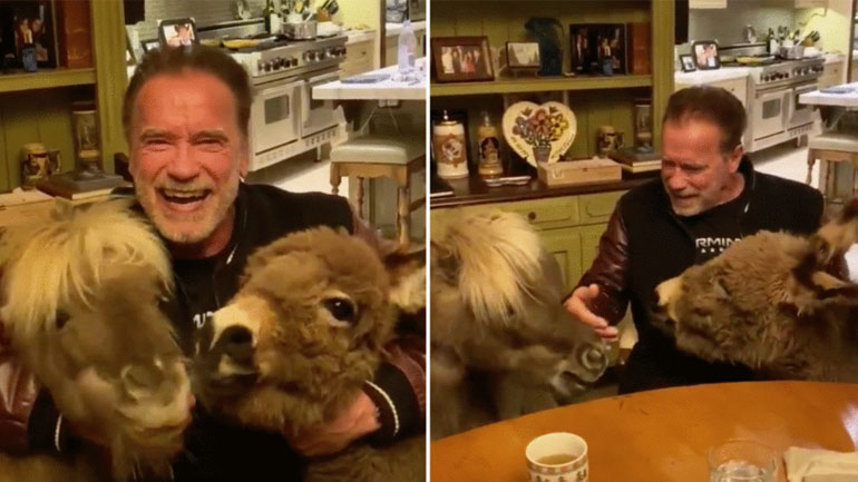 Το μήνυμα του Άρνολντ Σβαρτσενέγκερ για τον κορωνοϊό