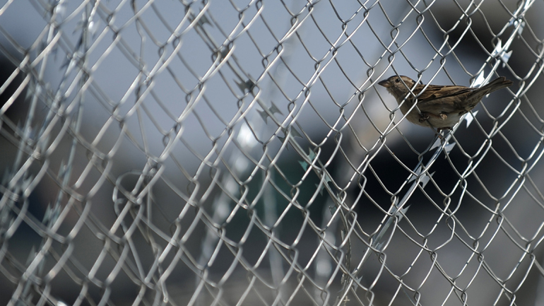 Νέα περιοριστικά μέτρα: Απαγορεύεται η είσοδος στην Ελλάδα πολιτών εκτός ΕΕ