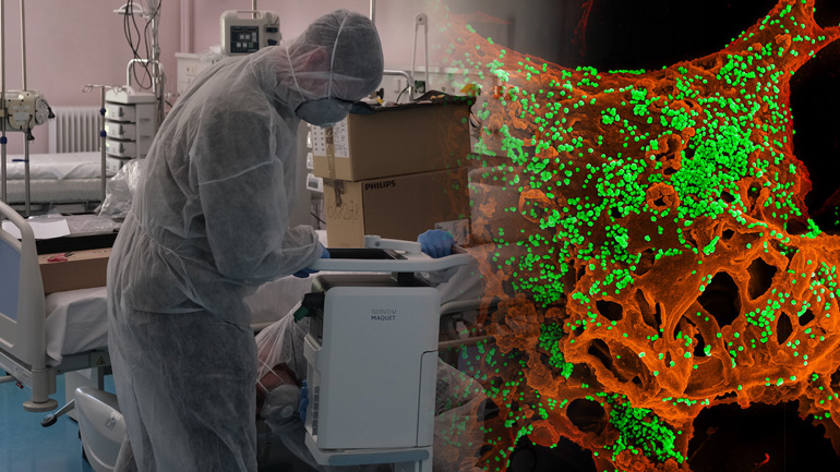 Στα 46 τα νέα κρούσματα Στα 46 τα νέα κρούσματα