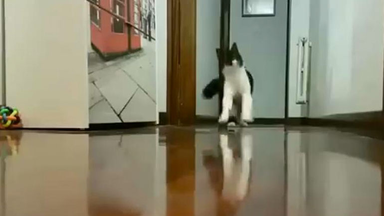 Όταν φτερνίζονται κοντά σου