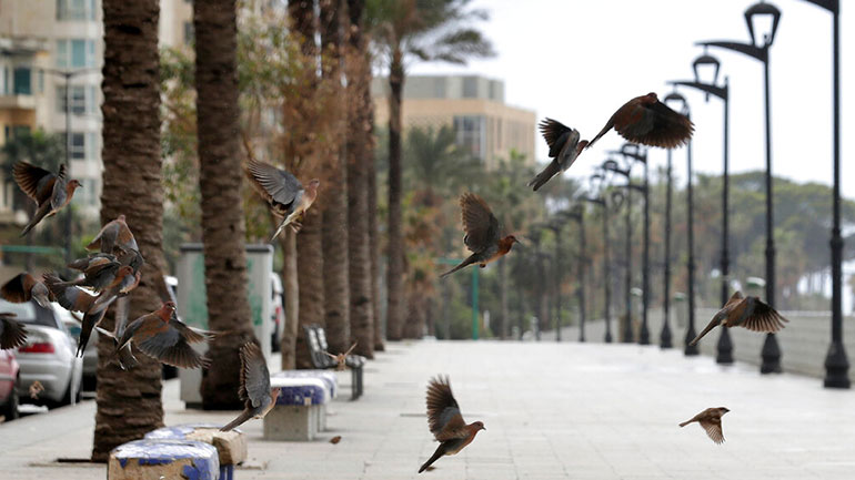 Γαλλία: Κλείνει η Προμενάντ ντεζ Ανγκλέ στη Νίκαια