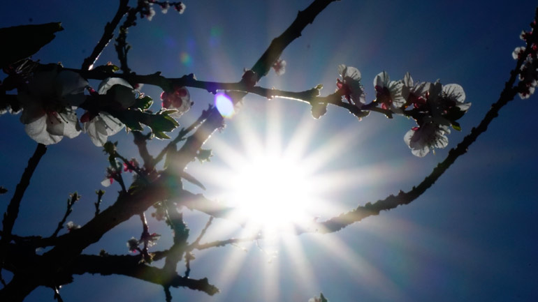 Ο καιρός σήμερα Ο καιρός σήμερα