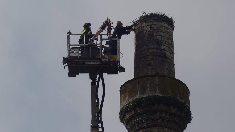 Ιωάννινα: Λίγο πριν την άφιξη των πελαργών, επιχείρηση καθαριότητας στη φωλιά τους