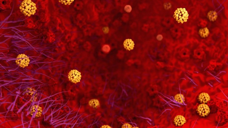 Κορωνοϊός: Μείωση πνευμονιών από αντιιικό φάρμακο της Κούβας Κορωνοϊός: Μείωση πνευμονιών από αντιιικό φάρμακο της Κούβας