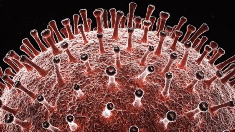 Ο νέος κορωνoϊός μπορεί να είναι μια “χίμαιρα” δύο διαφορετικών ιών