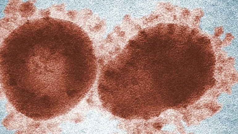 Γιατί ο κορωνοϊός SARS-CoV-2 μπορεί να υπάρχει εδώ και χρόνια στον άνθρωπο