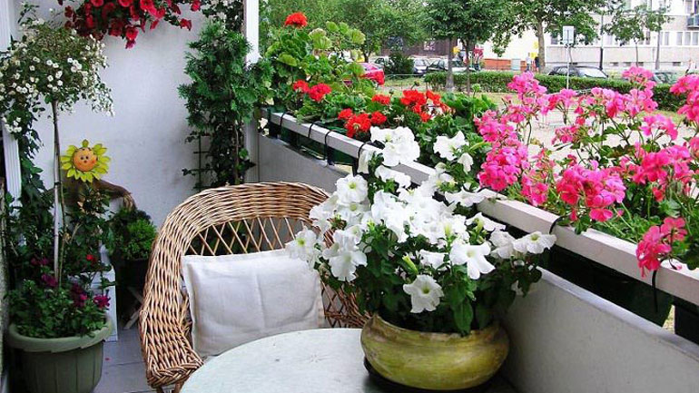 Συμβουλές για μίνι μπαχτσέ στο μπαλκόνι εν μέσω καραντίνας