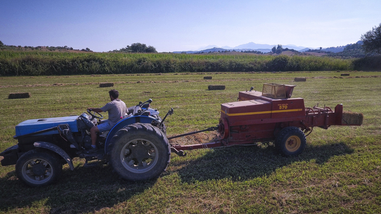 Άνοιξε το σύστημα για την υποβολή δηλώσεων ΟΣΔΕ