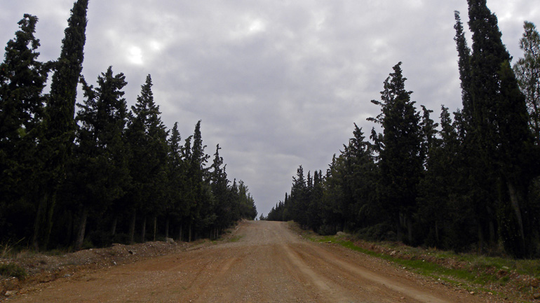 Θεσσαλονίκη: Την προσοχή των πολιτών για επικίνδυνες αγέλες σκύλων στο Σέιχ Σου εφιστούν τέσσερις δήμοι