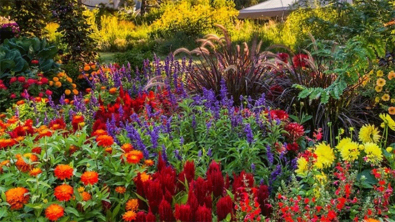 Μουσεία σε όλο τον κόσμο ανταλλάσσουν «μπουκέτα» μέσω των social media