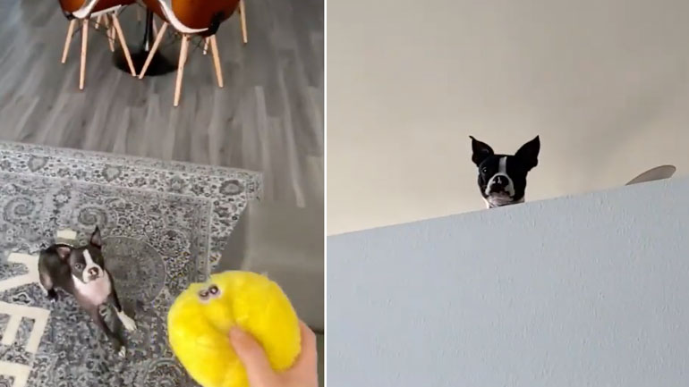 Ως εδώ με αυτό το παιχνίδι