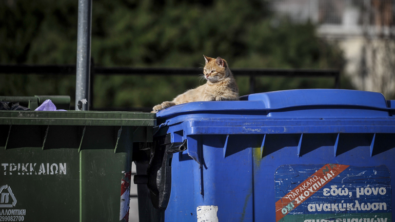 Απομακρύνονται προληπτικά οι μπλε κάδοι που βρίσκονται κοντά σε νοσοκομεία