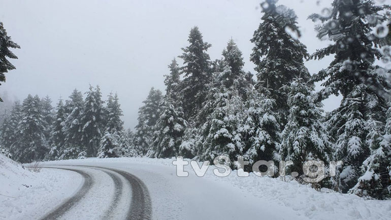Χιονίζει για δεύτερη ημέρα στην Ευρυτανία – Αγώνας να μείνει ανοιχτό το οδικό δίκτυο