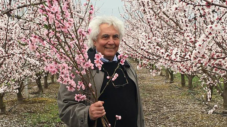 Ε.Κ.Κ: ΕΙΡΗΝΙΚΟ ΚΙΝΗΜΑ ΚΟΡΟΝΟΠΟΙΩΝ