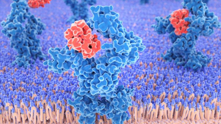 Κορωνοϊός: Οι επιστήμονες προβληματίζονται με την υπερβολική αντίδραση του ανοσοποιητικού