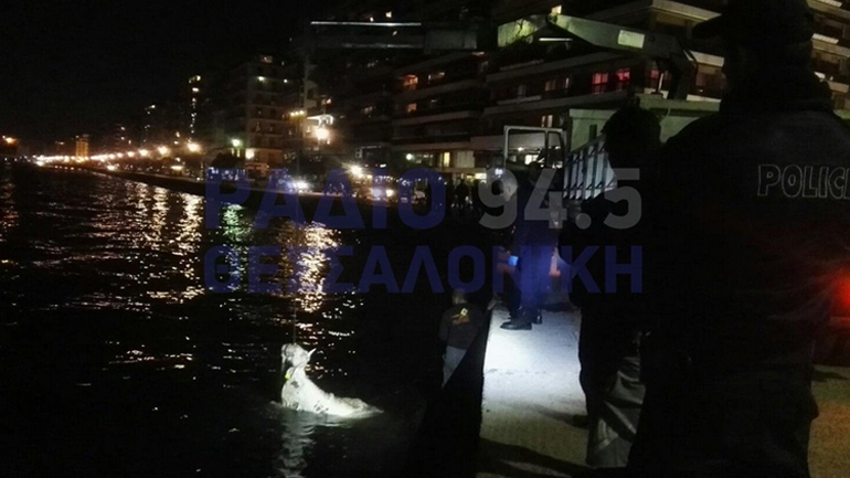 Ανασύρθηκε κουφάρι αγελάδας από τον Θερμαϊκό