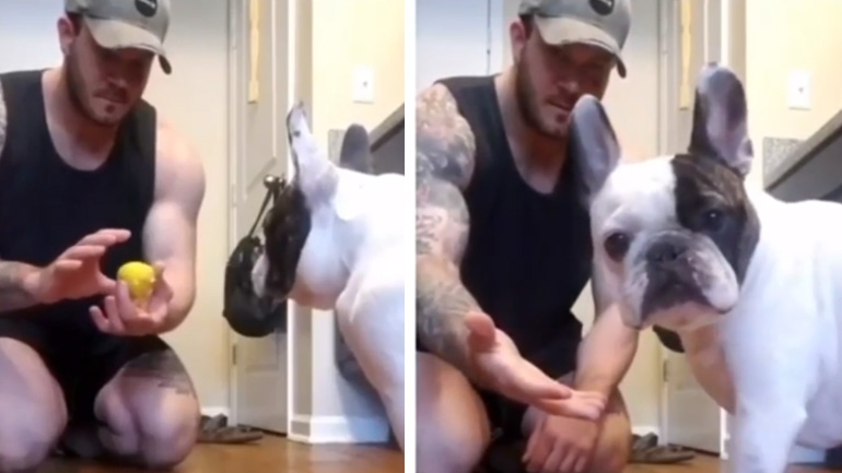 Το είδατε και εσείς;