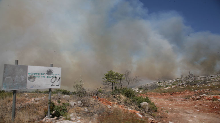 Χίος: Πυρκαγιά σε δασική έκταση