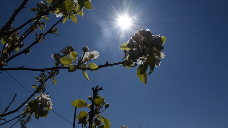 Ο καιρός σήμερα