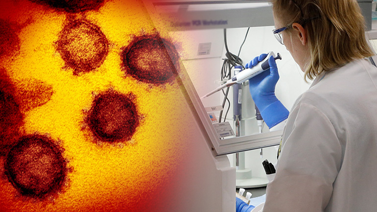 Αρχίζουν οι έρευνες σε ανθρώπους για το εμβόλιο