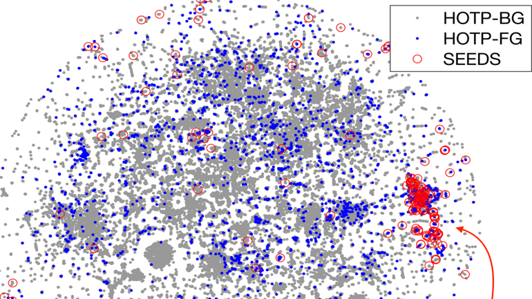 Το ΑΠΘ και το Πανεπιστήμιο Duke των ΗΠΑ ενώνουν τις δυνάμεις τους για τη μελέτη του κορωνοϊού