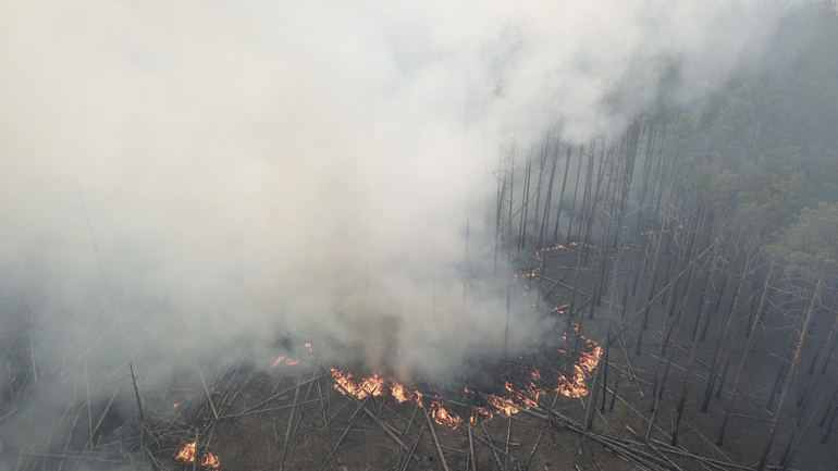 Ουκρανία: H πυρκαγιά που μαίνεται κοντά στο Τσερνόμπιλ προκαλεί κίνδυνο ραδιενεργού ακτινοβολίας, δηλώνει η Greenpeace
