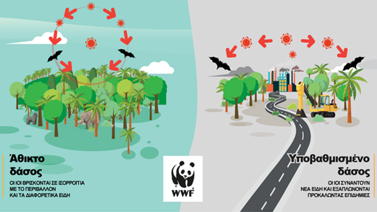 Νέα μελέτη του WWF:  Πώς η υπερεκμετάλλευση της φύσης οδηγεί στην εμφάνιση νέων φονικών πανδημιών