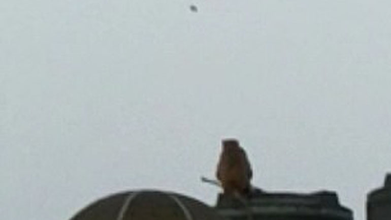 Ινδία: Μαϊμού πετάει χαρταετό από ταράτσα