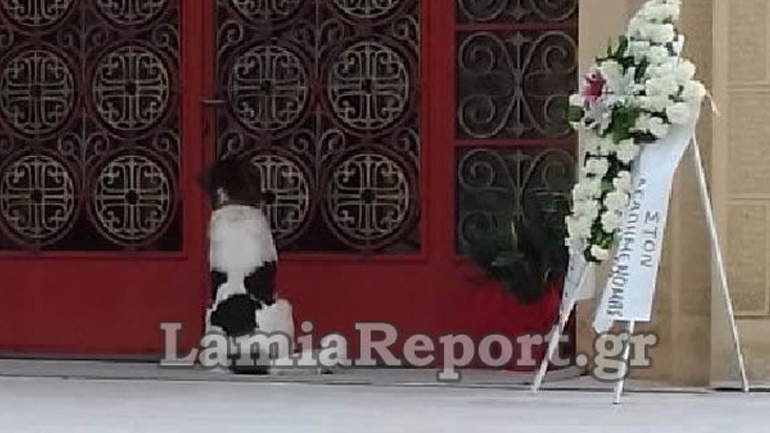 Φθιώτιδα: Σκύλος αποχαιρετά με τον δικό του τρόπο το αφεντικό του