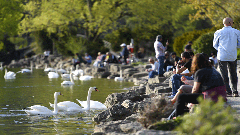 Ελβετία: Συνολικά 1.200 νεκροί και 28.000 κρούσματα