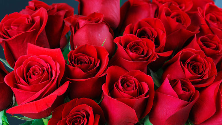 Δέκα εκατ. ευρώ κρατικές ενισχύσεις στην πρωτογενή παραγωγή ανθέων