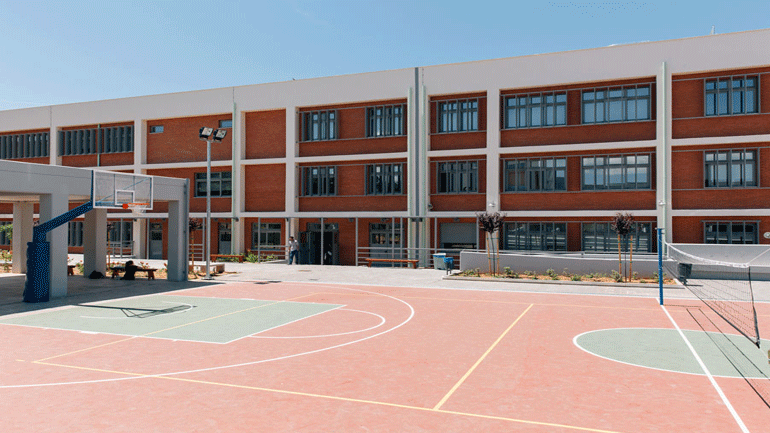 Θεσσαλονίκη: Ελέγχονται όλα τα σχολεία για τυχόν ύπαρξη επικίνδυνων δέντρων