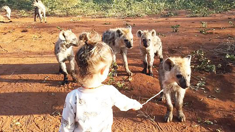 Ζιμπάμπουε: Κοριτσάκι πιάνει φιλίες με ένα κοπάδι ύαινες