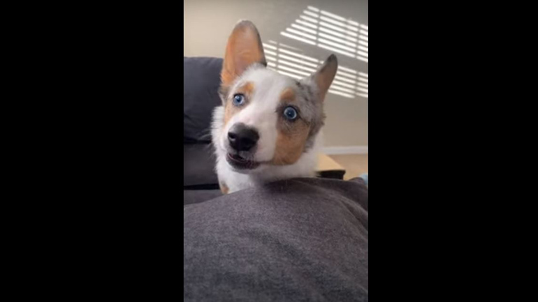 Απαγορεύεται το φτέρνισμα!