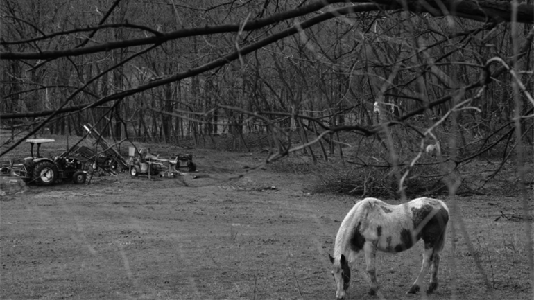 «ENTER»: Το πρότζεκτ του Ιδρύματος Ωνάση φιλοξενεί νέα έργα τέχνης φτιαγμένα από το σπίτι μέσα σε 120 ώρες