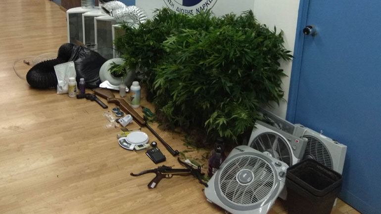 Ηράκλειο: Σύλληψη δύο ατόμων για ναρκωτικά – Διέθεταν μέχρι και εξοπλισμένο αποξηραντήριο δενδρυλλίων κάνναβης