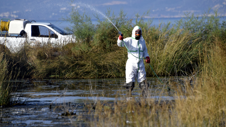 Περιφέρεια Αττικής: Οι ψεκασμοί για κουνουποκτονίες ξεκίνησαν στις αρχές Μαρτίου
