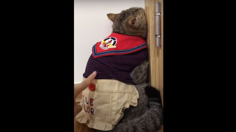 Μη με μαλώνεις…