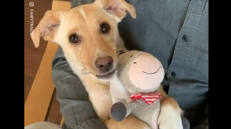 Ώρα για ύπνο!